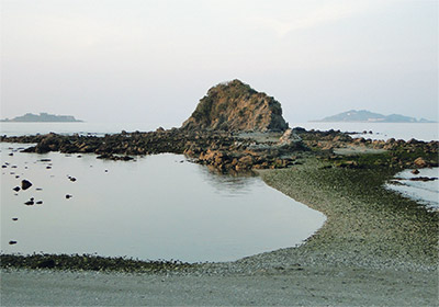 田の子島